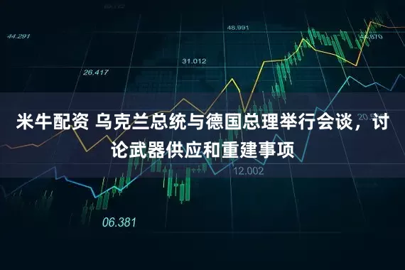 米牛配资 乌克兰总统与德国总理举行会谈，讨论武器供应和重建事项