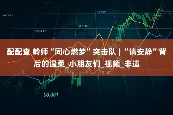 配配查 岭师“同心燃梦”突击队 | “请安静”背后的温柔_小朋友们_视频_非遗